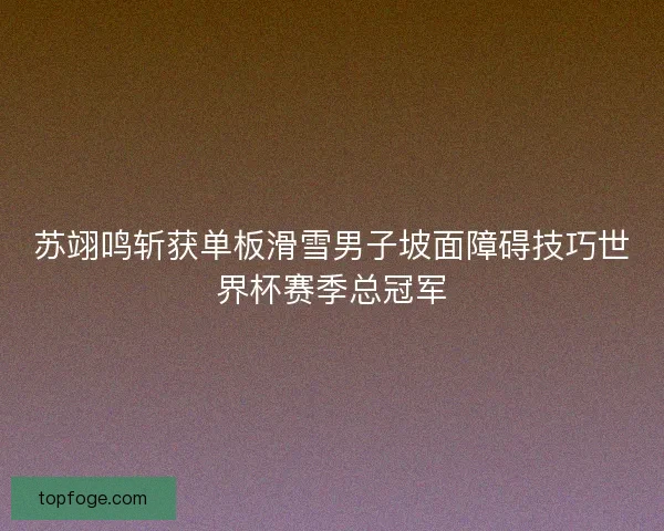 苏翊鸣斩获单板滑雪男子坡面障碍技巧世界杯赛季总冠军