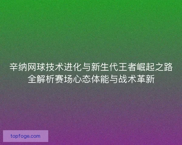 辛纳网球技术进化与新生代王者崛起之路全解析赛场心态体能与战术革新