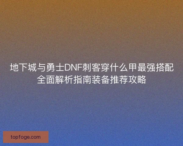 地下城与勇士DNF刺客穿什么甲最强搭配全面解析指南装备推荐攻略